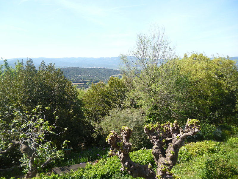 Hotel Village