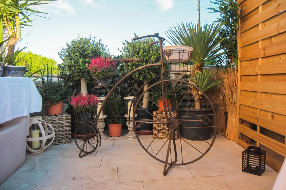 Hotel Lion Blanc 3*