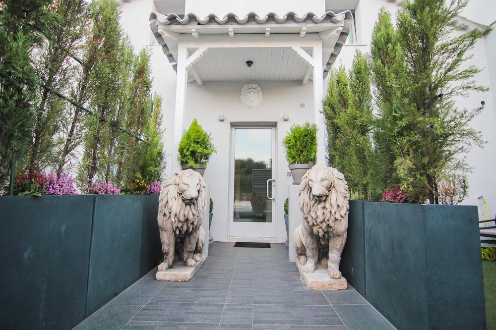 Lion Blanc Saint-Tropez