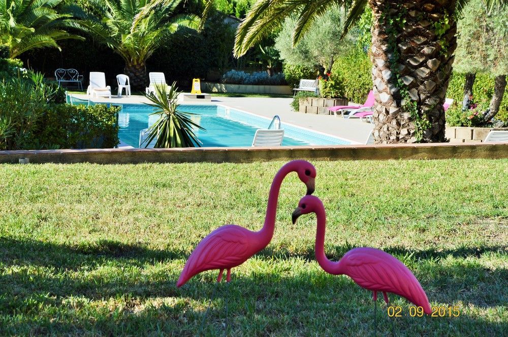 Les 4 Saisons Tropez Apartment