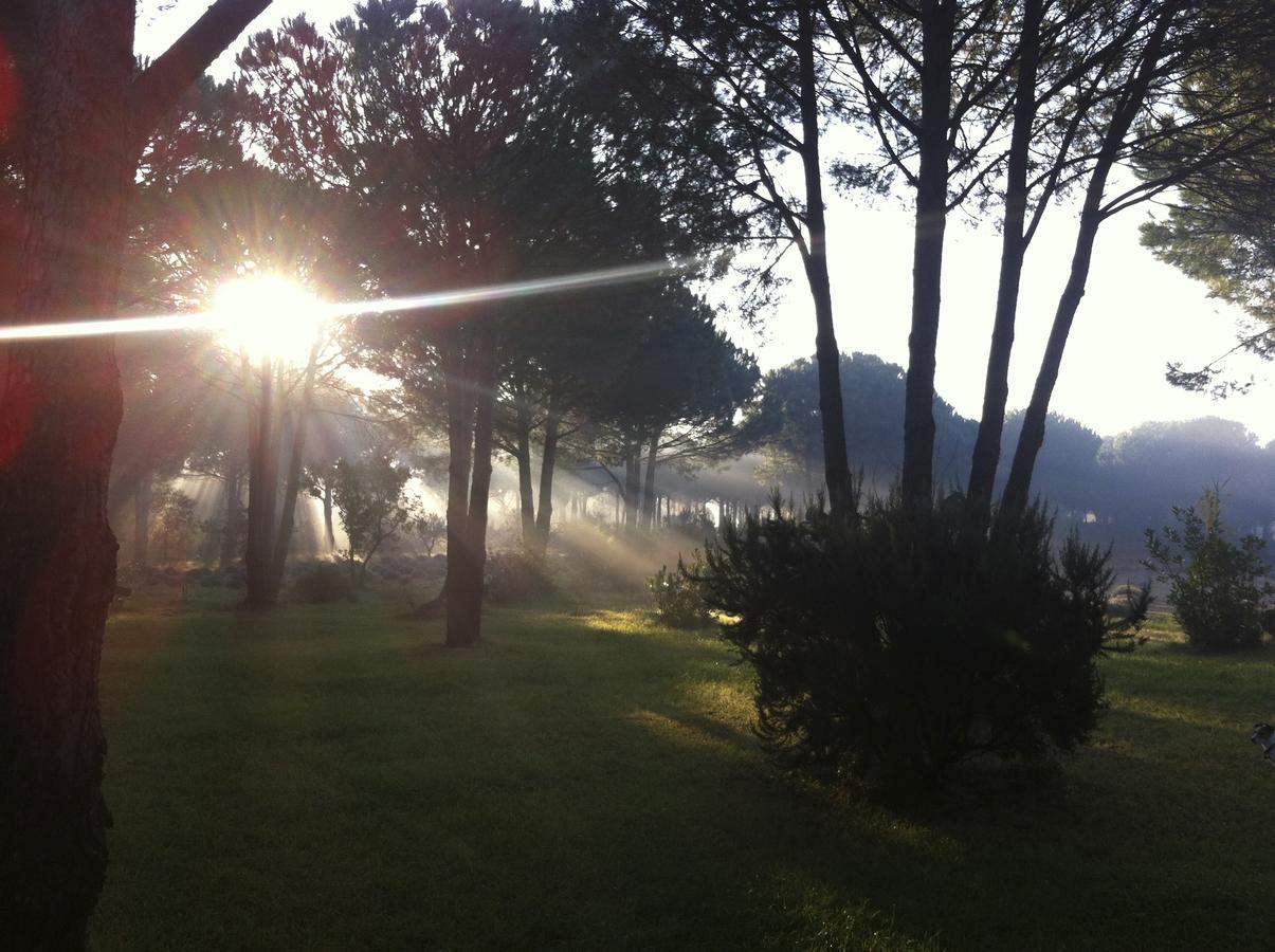 Campagne Les Jumeaux * Ramatuelle