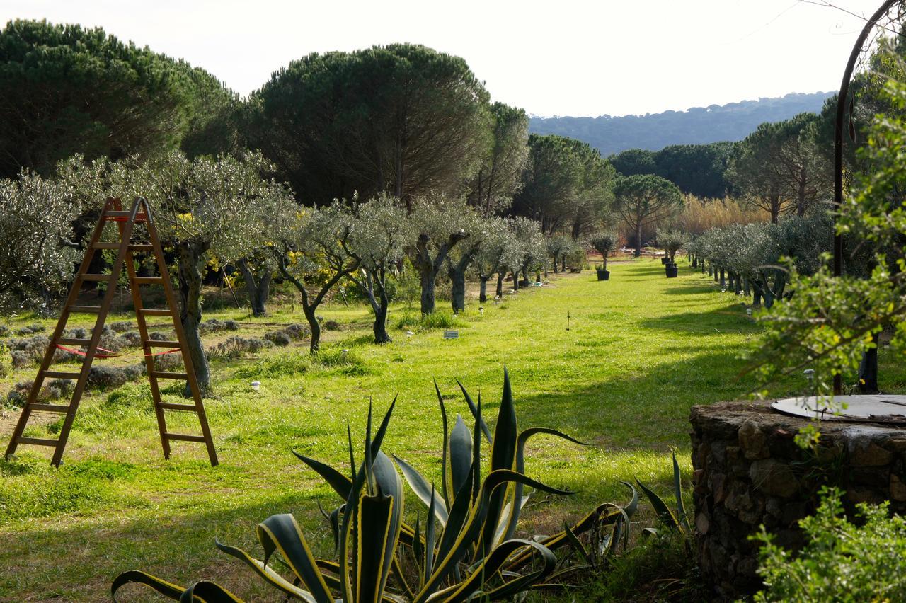 Bed & Breakfast Campagne Les Jumeaux *