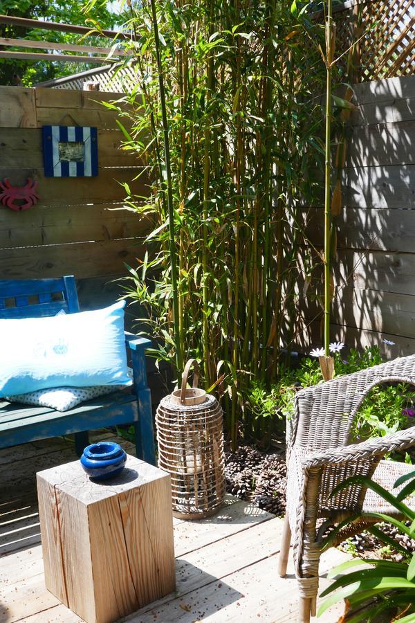 Bed & Breakfast La Vagabonde