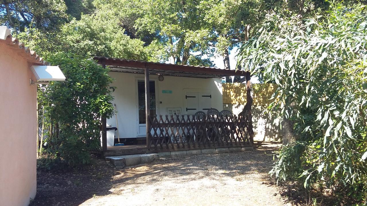 Camping Camping Les Tours Du Pinet Domaine Cezanne Saint-Tropez