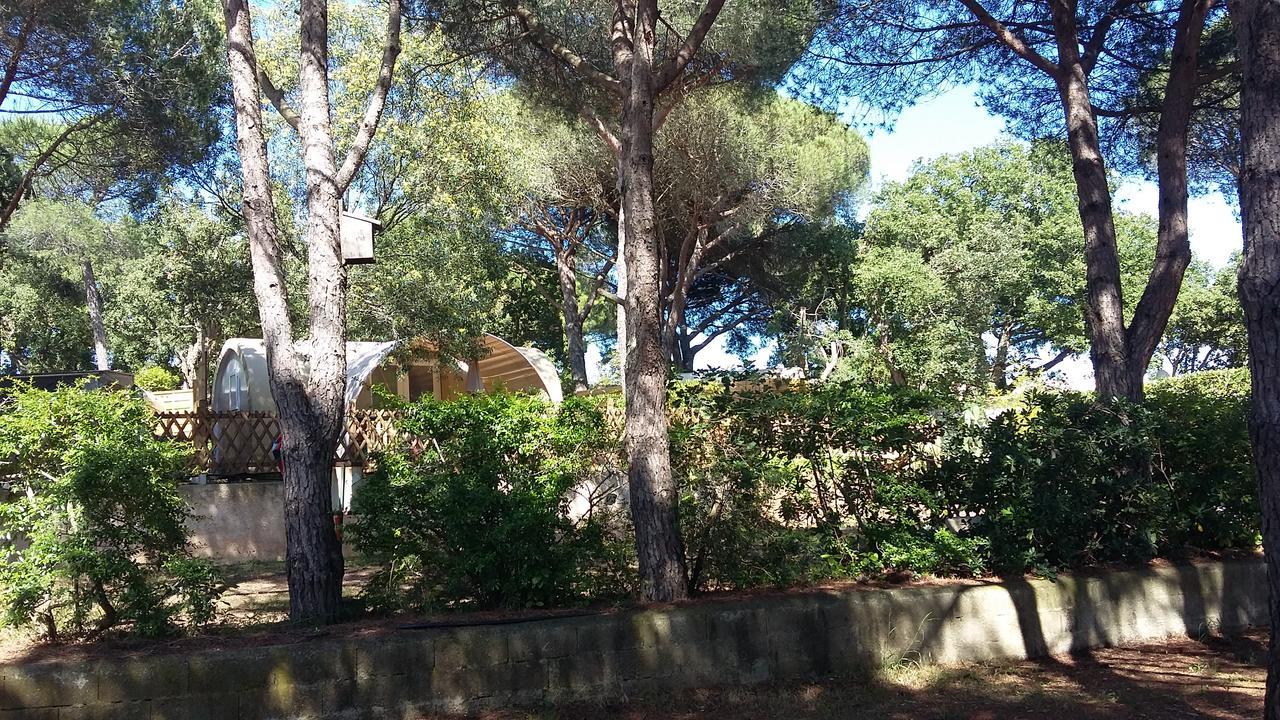 Camping Les Tours Du Pinet Domaine Cezanne Camping Saint-Tropez