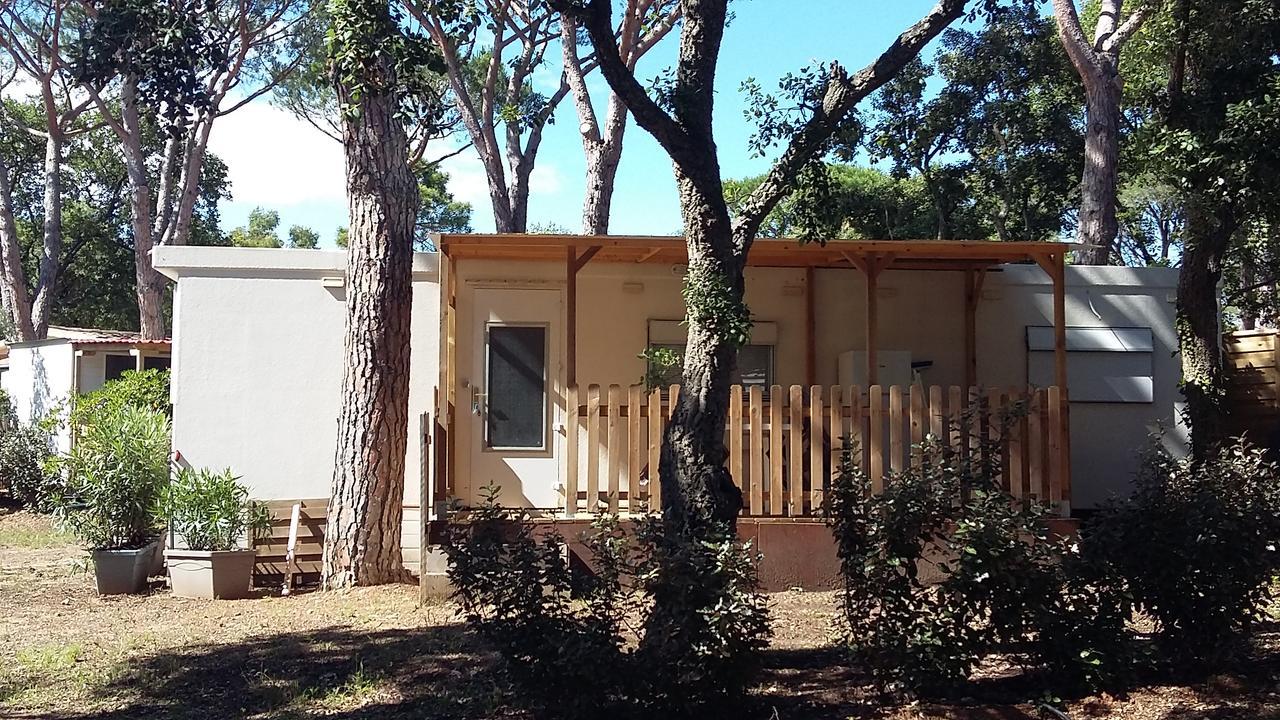 Camping Les Tours Du Pinet Domaine Cezanne Camping