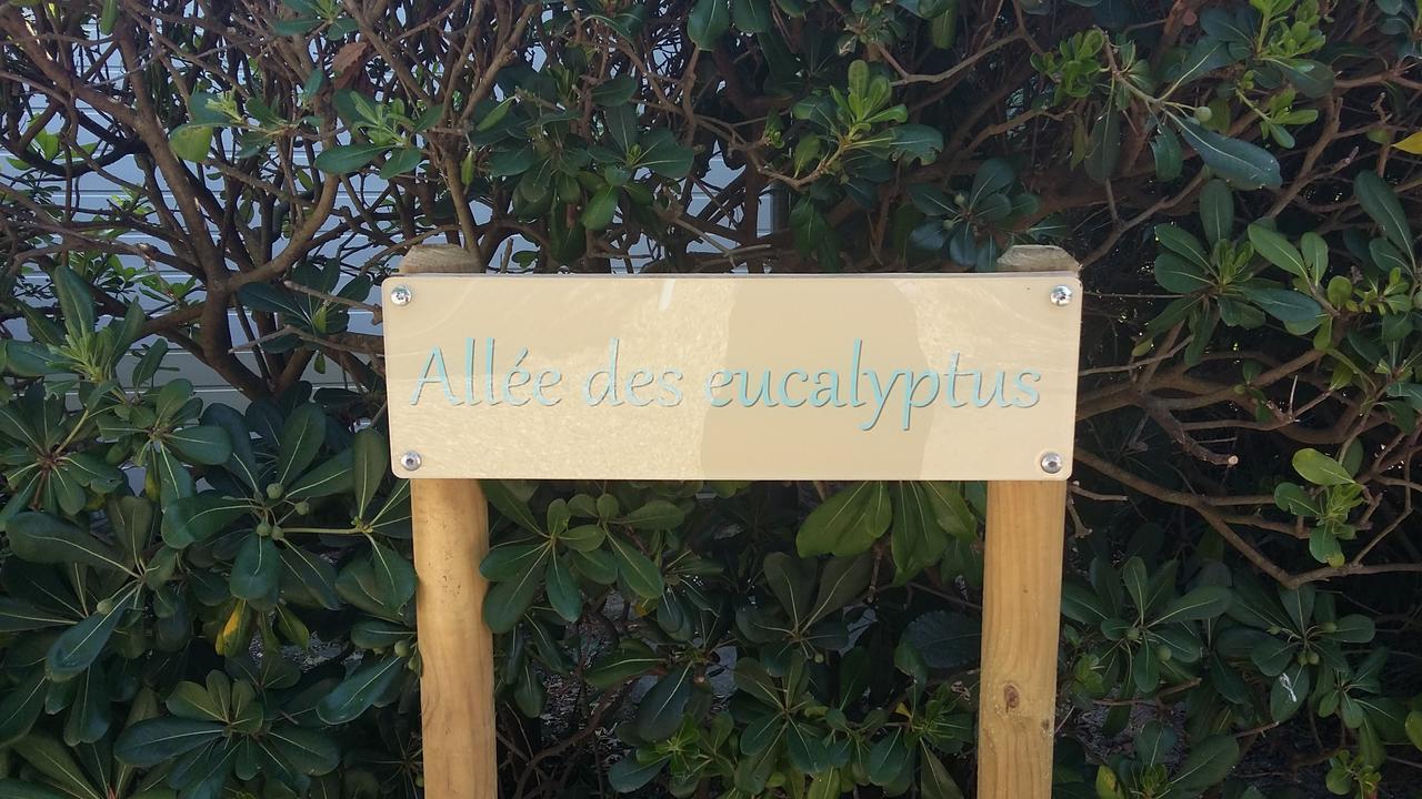 Camping Les Tours Du Pinet Domaine Cezanne *