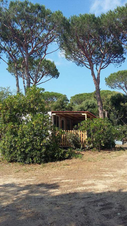 Camping Camping Les Tours Du Pinet Domaine Cezanne