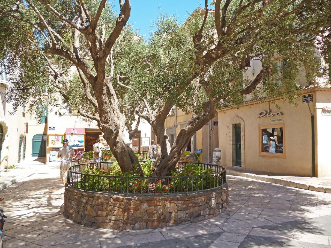 Apartment Eden Parc-4 By Interhome Saint-Tropez