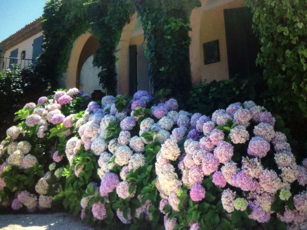 La Farigoulette * Saint-Tropez