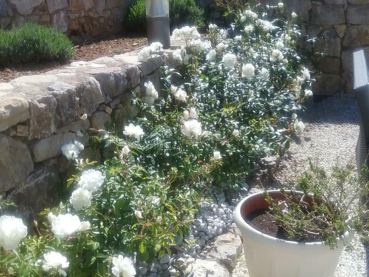 La Bastide Anne Guest house Saint-Tropez