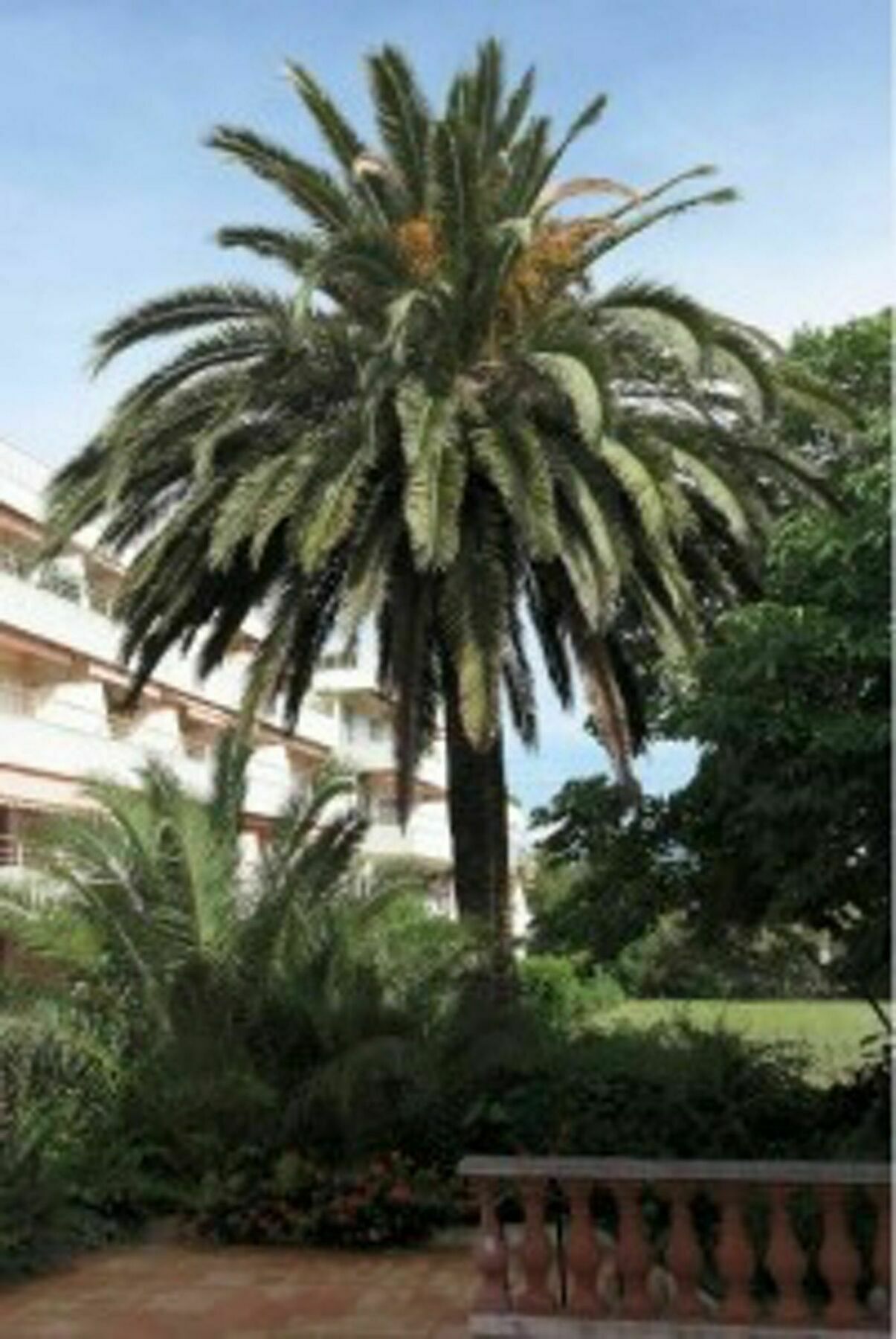 Studette In Saint-tropez, With Wonderful Park View And Pool Access - 8 Apartment Saint-Tropez