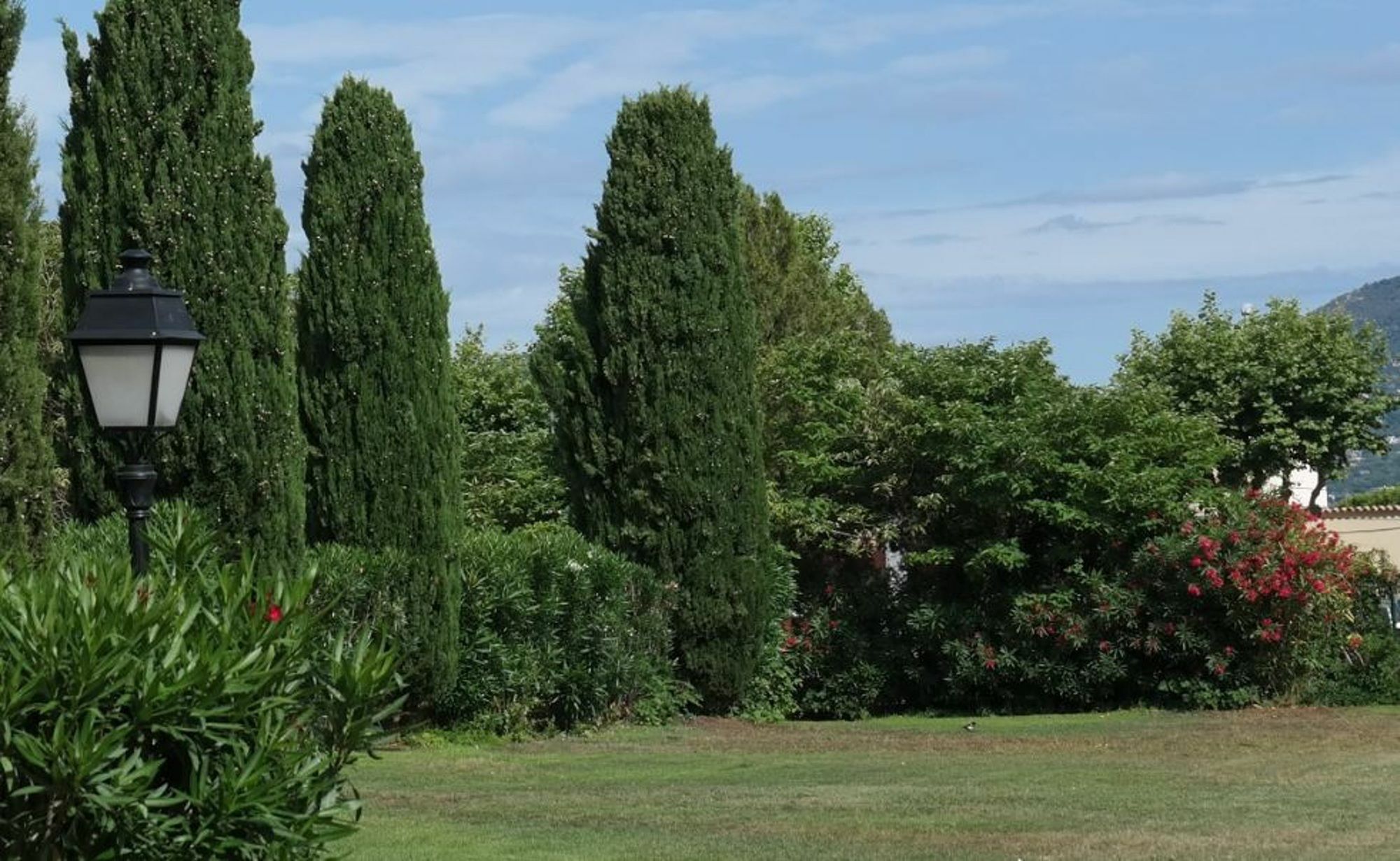 Apartment Studette In Saint-tropez, With Wonderful Park View And Pool Access - 8 Saint-Tropez