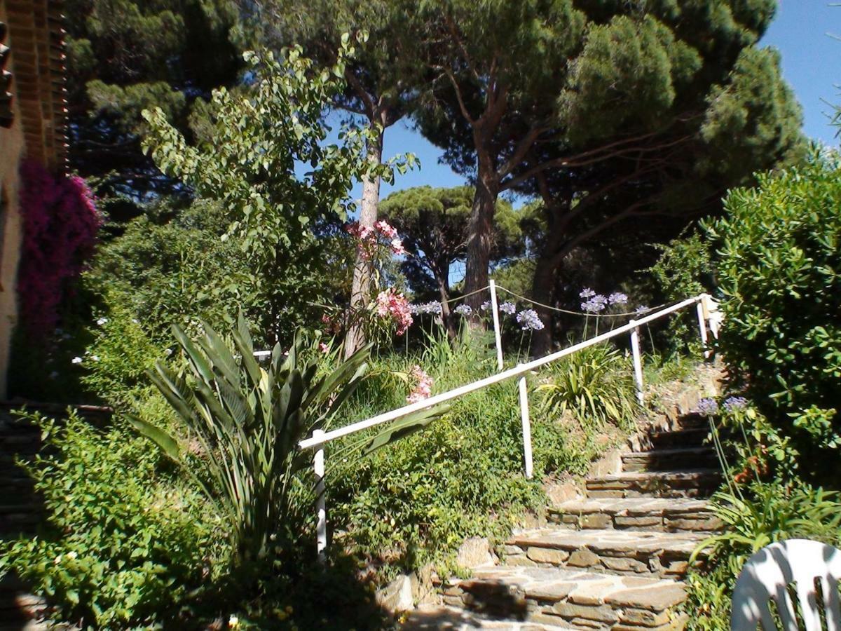 Le Mas Des Pins Guest house