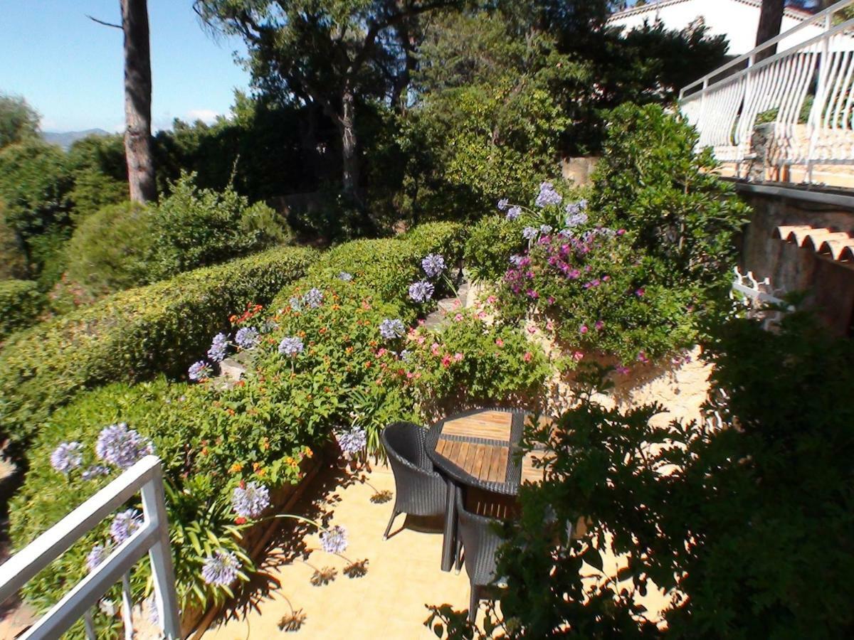 Le Mas Des Pins Guest house