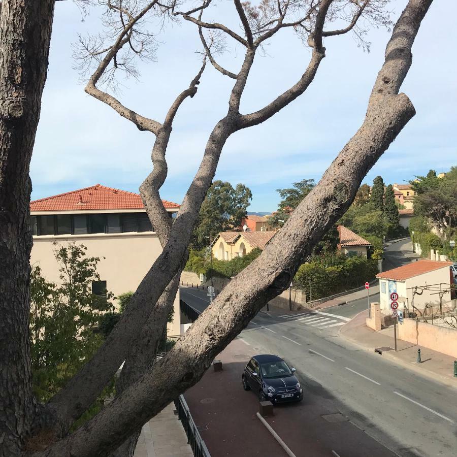Exclusive Tropez
