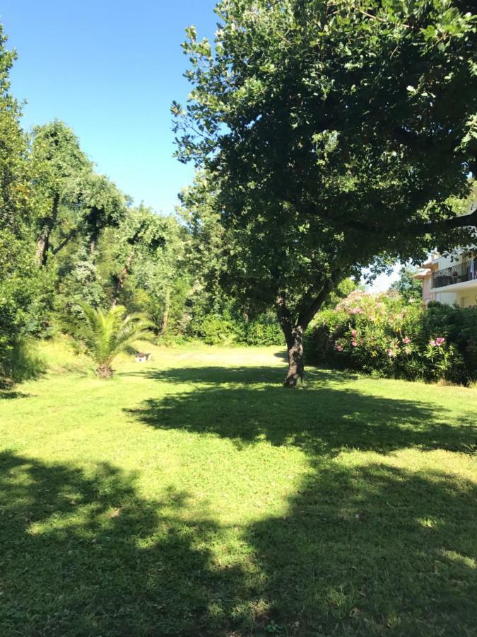 Apartment Bellevue Heraclee Saint-Tropez