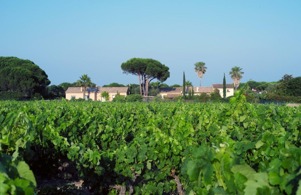 Villa La Pitchounette Saint-Tropez