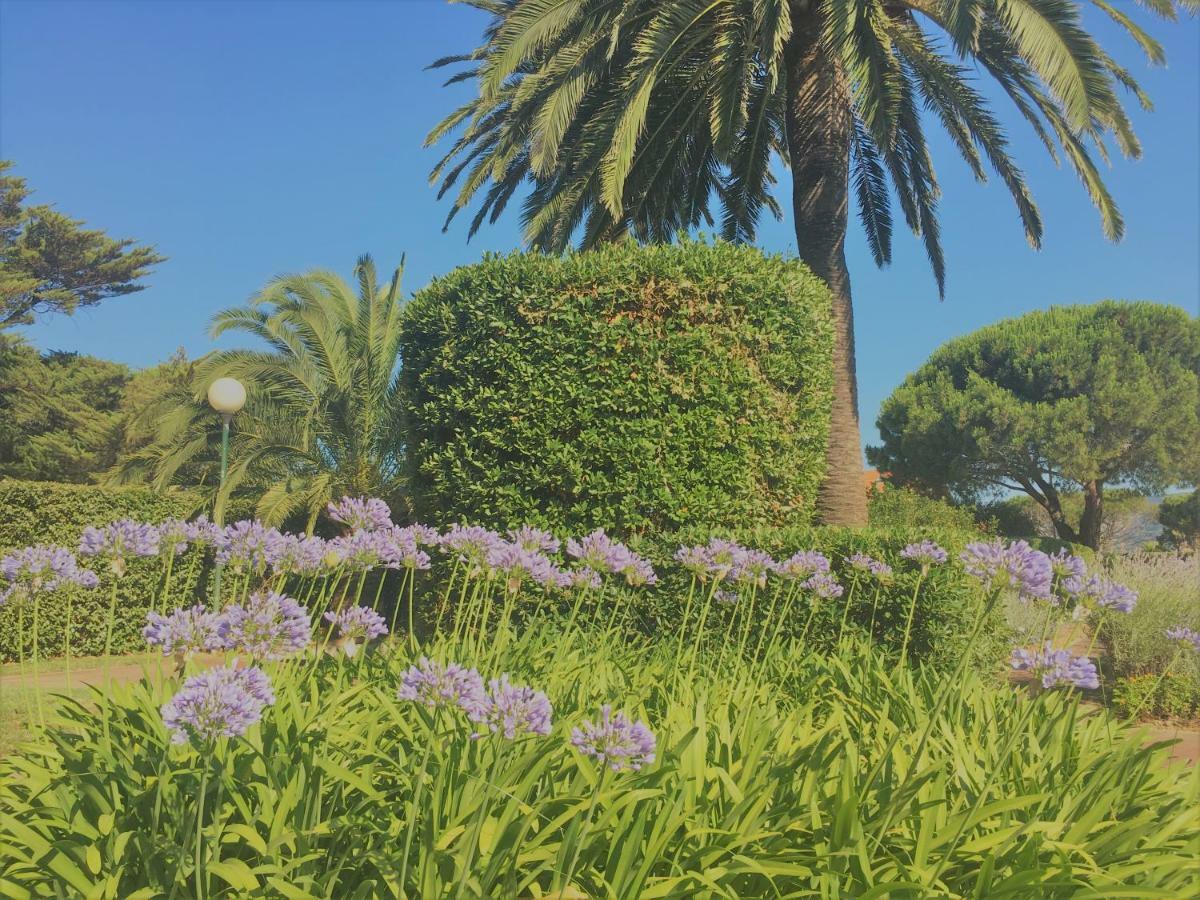 La Graziosa * Saint-Tropez