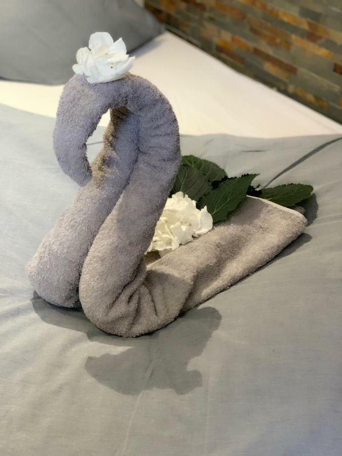 Design Centre Apartment *