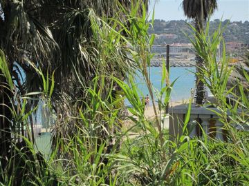 Bellevue Cavalaire