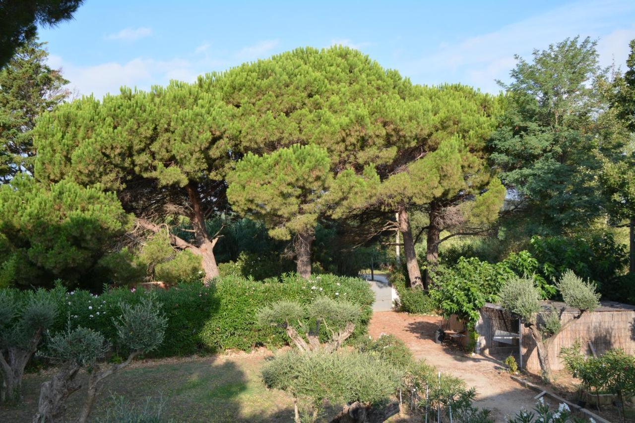 Villa Ramatuelle, Pampelonne, Saint-Tropez