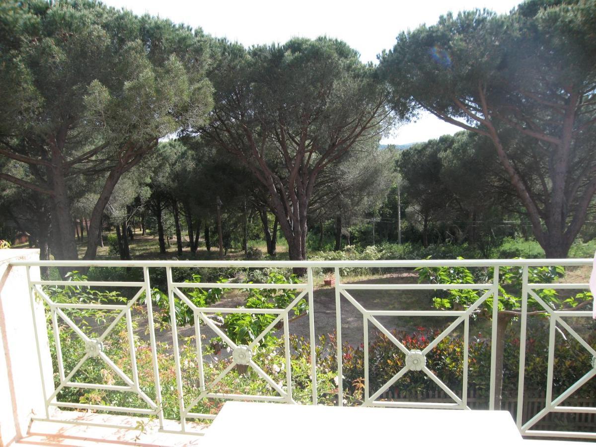 Guest house D'hotes Les Amandiers