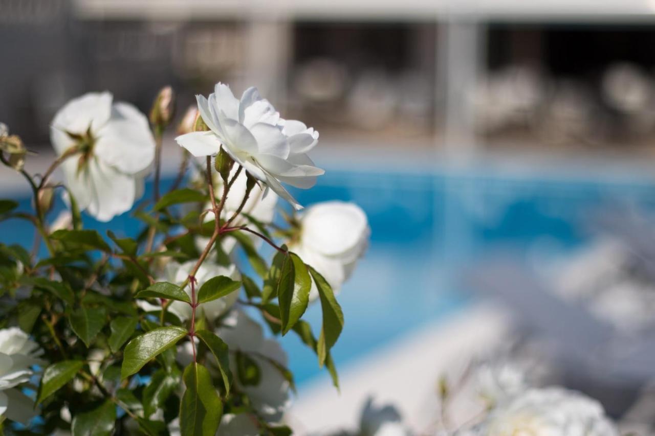 Bellevue 4* Saint-Tropez