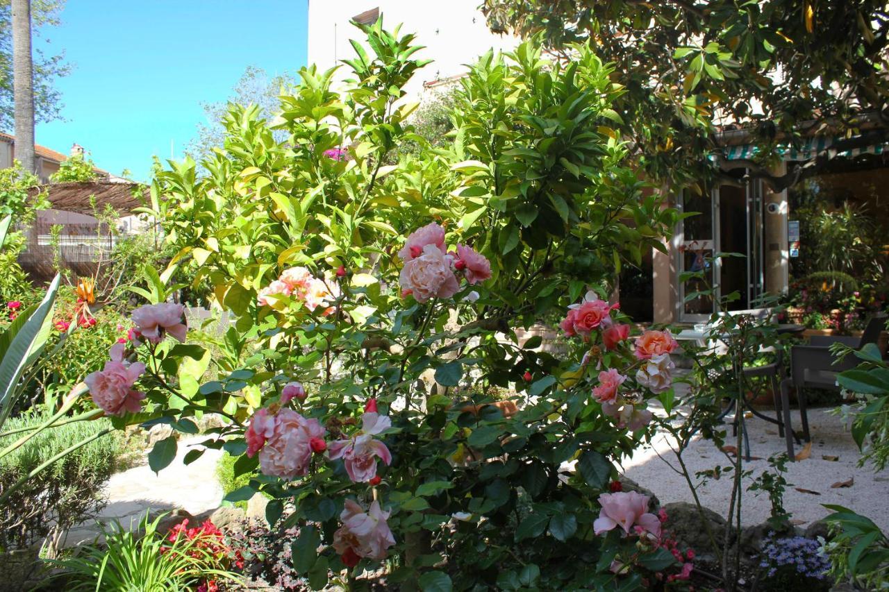 Hotel Les Palmiers Saint-Tropez