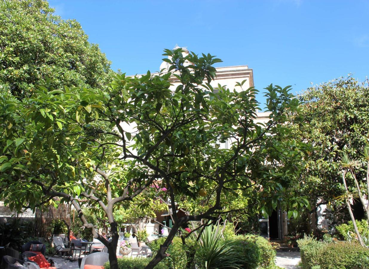 Les Palmiers Hotel Saint-Tropez