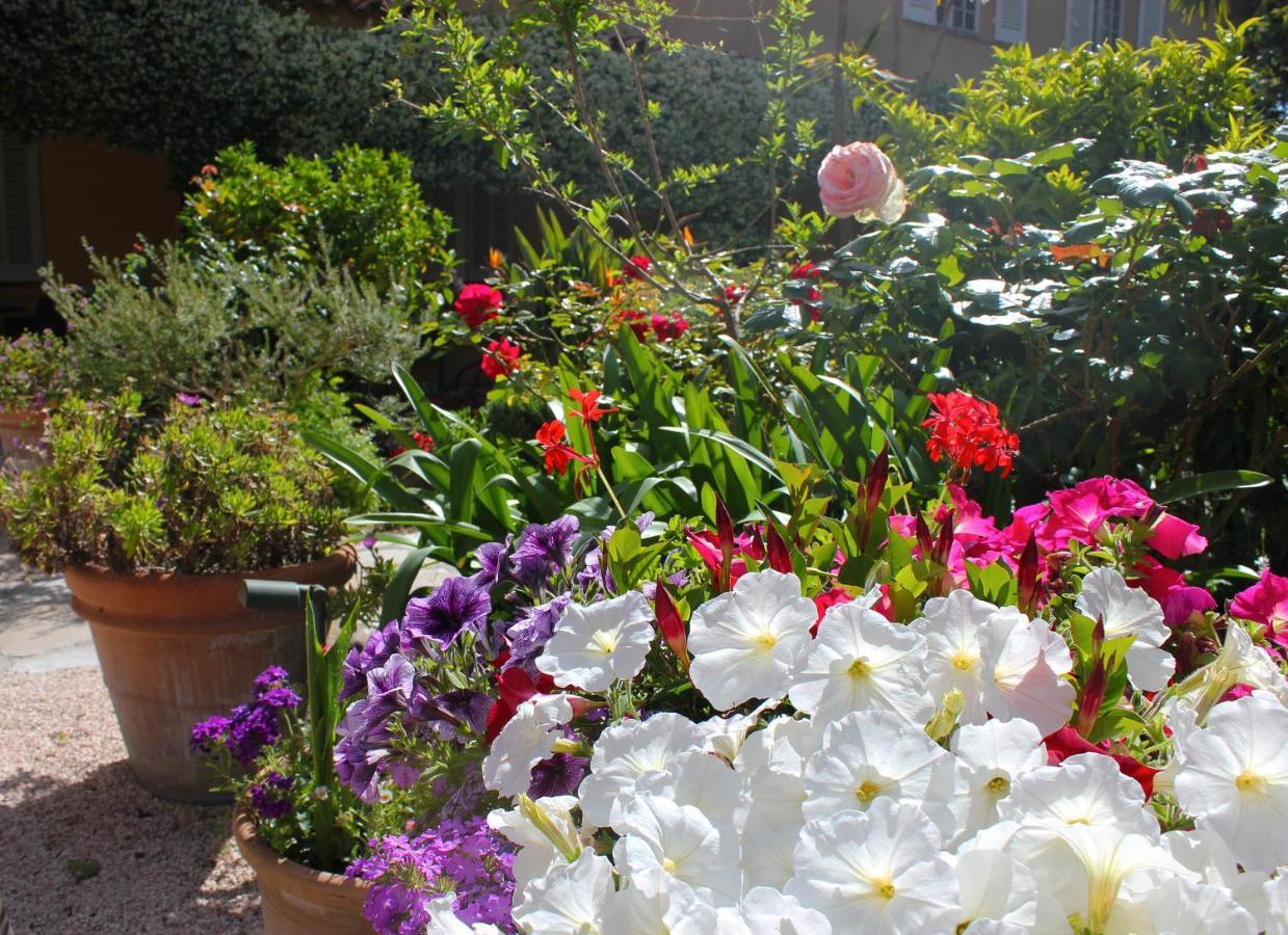 Les Palmiers Hotel Saint-Tropez
