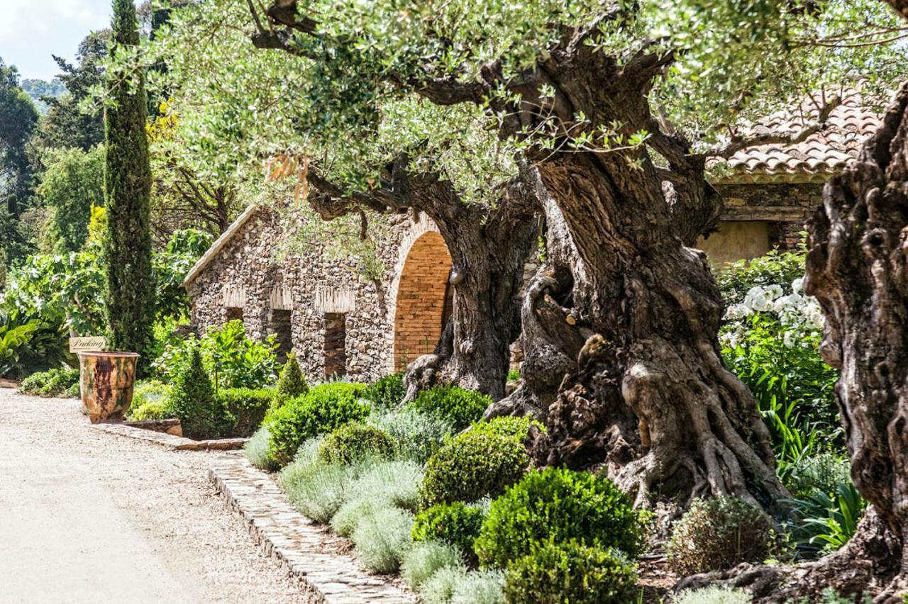 Domaine Les Mesanges